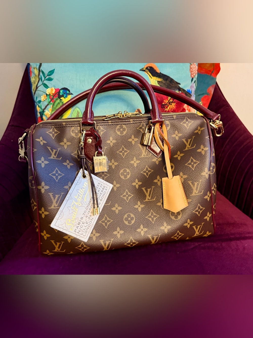Louis Vuitton Monogram Speedy 30 Soft Celebration